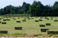 Square haystacks straw.