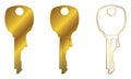 Square Head Common House Key Vector Graphic Set II