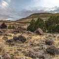 Square Hiking trail through boulder strewn grassland with rocks