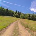 Square Hiking trails amid grasses on a mountain in Park City Utah during off season