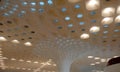 Square hole deck ceiling or true ceiling view design of international airport india