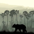 Square illustration of bear on grassy hillside.