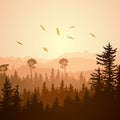 Square illustration of foggy sunset forest hills. Royalty Free Stock Photo