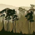 Square illustration of misty forest hills. Royalty Free Stock Photo