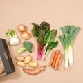 Square Image of a Small Collection of Fresh Vegetables