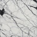 A square image of a white marble texture with thin black veins