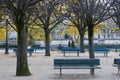 Square Jean XXIII garden, Paris Royalty Free Stock Photo