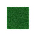 Square of Kentucky Bluegrass Grass field over white. 3D illustration