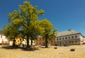 Square with lime tree