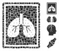 Square lungs fluorography icon vector mosaic