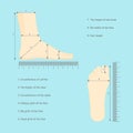 Square Measure Human Feet Shoe Size. Vector