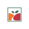 Square Orange Apple Fruit Hill Valley Canyon Logo