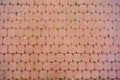 Square orange plaster tiles with bit grass in mortars. City street pavement