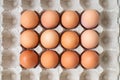 Square pallet for recycling chicken eggs with red chicken eggs. View from above Royalty Free Stock Photo