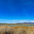 Square Panorama of a mountain with snowy peak towering over a lake with grassy shore