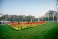 Square panorama with Queen Victoria memorial and flower-beds in front of Buckingham Palace Royalty Free Stock Photo