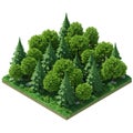 Square patch of forest with stylized trees, including conifers and deciduous types, Royalty Free Stock Photo