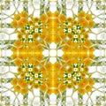 Geometric square pattern of camomile and dandelion in yellow and white Royalty Free Stock Photo