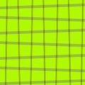 Square pattern green grass skew texture background. Royalty Free Stock Photo