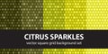Square pattern set Citrus Sparkles. Vector seamless tile backgrounds Royalty Free Stock Photo
