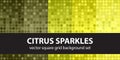 Square pattern set Citrus Sparkles Royalty Free Stock Photo
