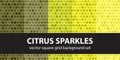 Square pattern set Citrus Sparkles. Vector seamless tile Royalty Free Stock Photo