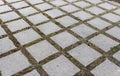 Square paving stones