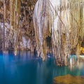 Cenote of Dzitnup, Yucatan Peninsula, Mexico Royalty Free Stock Photo