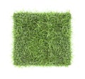 Square piece of green grass field top view isolated Royalty Free Stock Photo