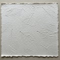 Square piece of white, textured handmade paper, featuring embedded leaf patterns. Royalty Free Stock Photo