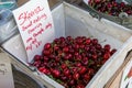 A square plastic bucket with red cherries at a farmers market. Royalty Free Stock Photo