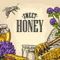 Square poster with honey, honeycomb, jar, spoon, bee. Royalty Free Stock Photo