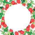 Square raspberry frame. Watercolor illustration. Isolated on a white background. For design.