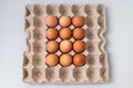 Square Recycling Tray for Chicken Eggs with Red Chicken Eggs Royalty Free Stock Photo