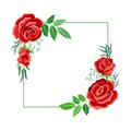Square Rose Frame with Red Lush Bud and Green Leaves Arranged in Shape with Border Vector Illustration Royalty Free Stock Photo