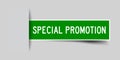 Square seal green sticker in word special promotion insert on gray background