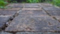 Low view of a old garden path Royalty Free Stock Photo