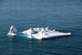 Square shape floating ice near iceberg in ilulissat, Greenland,jakobshavn Royalty Free Stock Photo