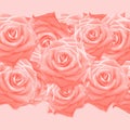 Roses in Living Coral Square Background, Header, Cover