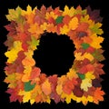 Square-shaped decorative frame made of of colorful fall maple, hawthorn and linden leaves, isolated on black