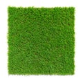 Square shaped green grass lawn, 3d render Royalty Free Stock Photo