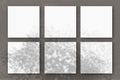 6 square sheets of white textured paper on the grey wall background. Mockup overlay with the plant shadows. Natural light casts Royalty Free Stock Photo