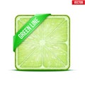 Square slice of lime Green Line. Vector Royalty Free Stock Photo