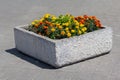 Square stone urn with marigolds on a city street Royalty Free Stock Photo
