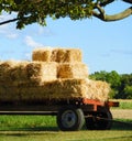 Square straw bales stacked on on country farm wagon