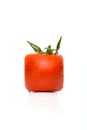 Square tomato