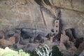 Square Tower House, Mesa Verde National Park, United States Royalty Free Stock Photo