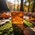 A square translucent amber object sits on mossy ground amidst brown and Royalty Free Stock Photo