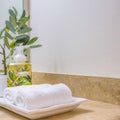 Square Tray with face towels hand soap and potted plant inside a clean bathroom Royalty Free Stock Photo