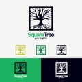 Square Tree Logo Design Template